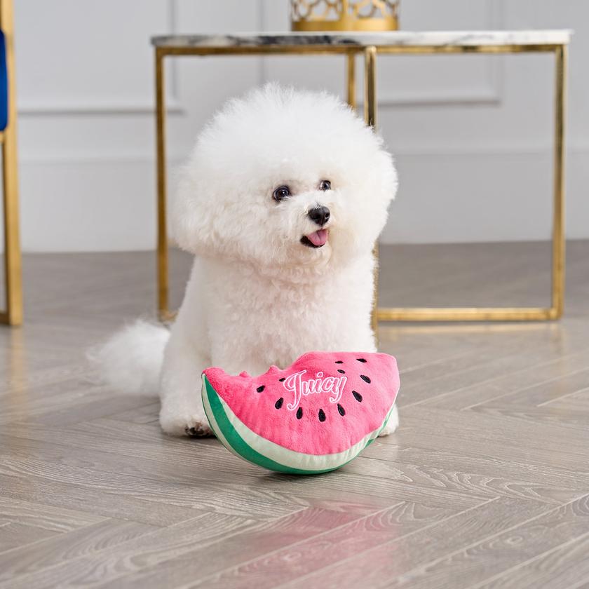 Watermelon Squeaky Pet Toy High Quality