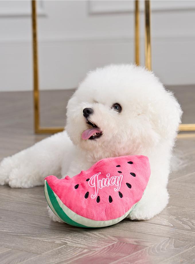 Watermelon Squeaky Pet Toy High Quality